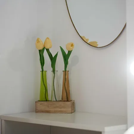 Boris Apartament Trogir